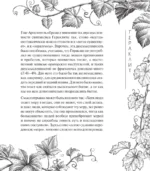 О природе — изображение 14