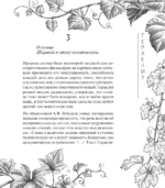 О природе — изображение 16