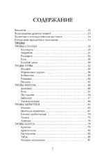 Мудрость земли и космоса. Мистическая связь небес и земли — изображение 3