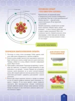 Химические элементы — изображение 9