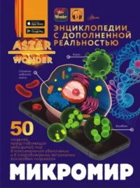 Микромир. Анна Спектор