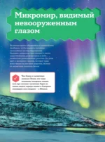Микромир — изображение 17