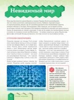 Микромир — изображение 7