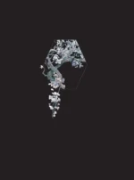 Костяная птица и ночные цветы. Иллюстрации Eno — изображение 5