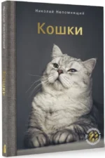 Кошки — изображение 2