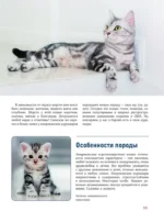 Кошки — изображение 11
