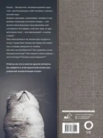Кошки — изображение 3