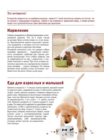 Собаки — изображение 11