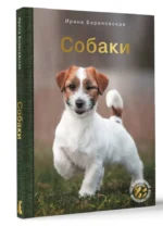 Собаки — изображение 12