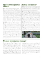 Собаки — изображение 5