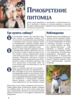 Собаки — изображение 6