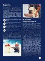Собаки — изображение 7