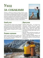 Собаки — изображение 8