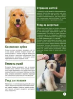 Собаки — изображение 9