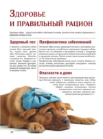 Собаки — изображение 10