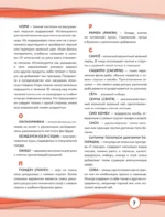 Кулинария из аниме и манги — изображение 10