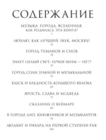 Моих раздумий зеркала и звуки — изображение 3