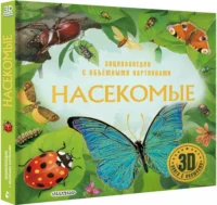 Насекомые — Детские энциклопедии