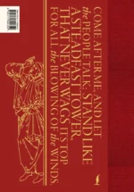 The Divine Comedy — изображение 3