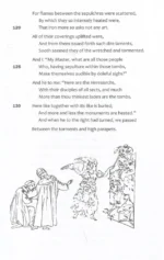 The Divine Comedy — изображение 6