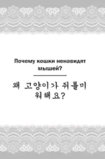 Самые лучшие корейские легенды с произношением — изображение 6
