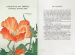 Энергии Вселенной, несущие Свет и Тепло. 101 послание, которое поможет в нужную минуту — изображение 4