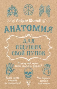 Анатомия для ищущих свой пупок. Андрей Шляхов