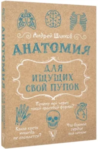 Анатомия для ищущих свой пупок — Биология и природа
