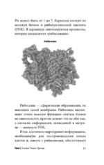 Анатомия для ищущих свой пупок — изображение 11