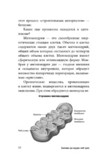 Анатомия для ищущих свой пупок — изображение 12