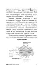 Анатомия для ищущих свой пупок — изображение 13