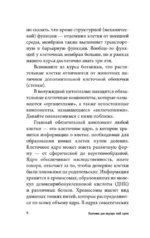Анатомия для ищущих свой пупок — изображение 8