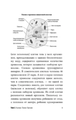 Анатомия для ищущих свой пупок — изображение 9