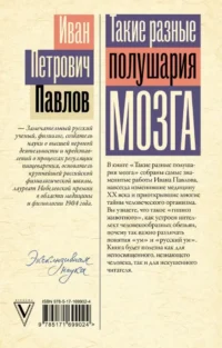 Такие разные полушария мозга. Об уме вообще, о русском уме в частности — Этнография и антропология