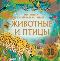 Животные и птицы