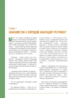 Главная книга владельца лабрадора — изображение 12