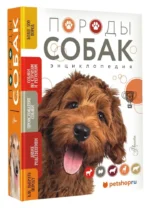 Породы собак — изображение 3