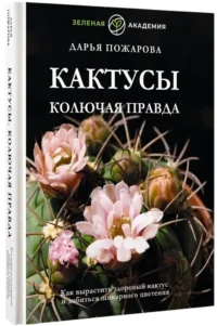 Кактусы. Колючая правда — Комнатные растения, флористика