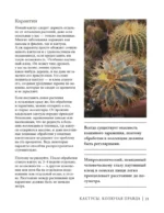 Кактусы. Колючая правда — изображение 12