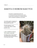 Кактусы. Колючая правда — изображение 9