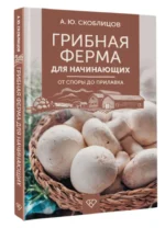 Грибная ферма для начинающих. От споры до прилавка — изображение 3