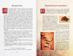 Лучшие картины в мировой истории — изображение 5