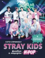 Stray Kids. Фанбук о лидерах K-pop. Кэти Спринкел