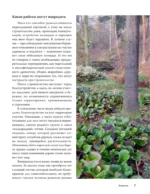 Лесной сад. Ландшафтный дизайн в гармонии с природой — изображение 9