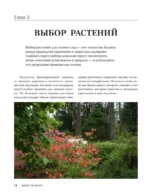 Лесной сад. Ландшафтный дизайн в гармонии с природой — изображение 10