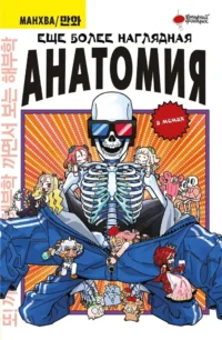 Еще более наглядная анатомия. Абдулла