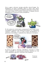 Еще более наглядная анатомия — изображение 12