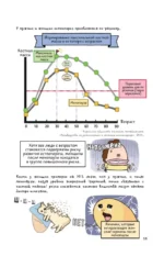 Еще более наглядная анатомия — изображение 13