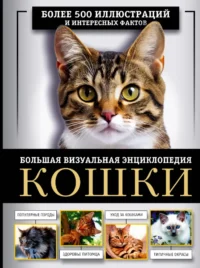 Кошки. Большая визуальная книгаиклопедия. Дмитрий Смирнов