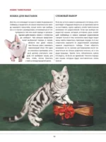 Кошки. Большая визуальная книгаиклопедия — изображение 11